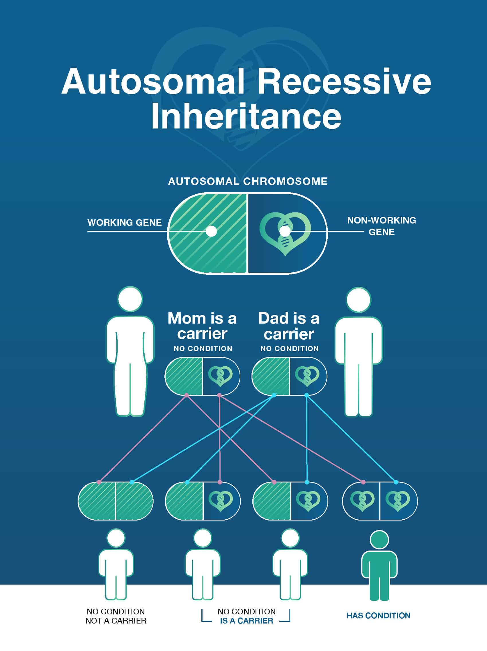 SLOS Autosomal Recessive Inheritance